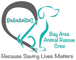 Bay Area Animal Rescue